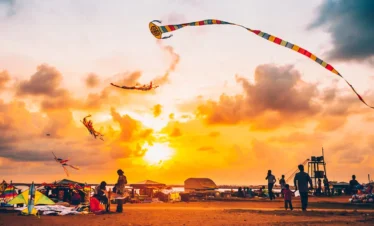 Evening sky with flying kites